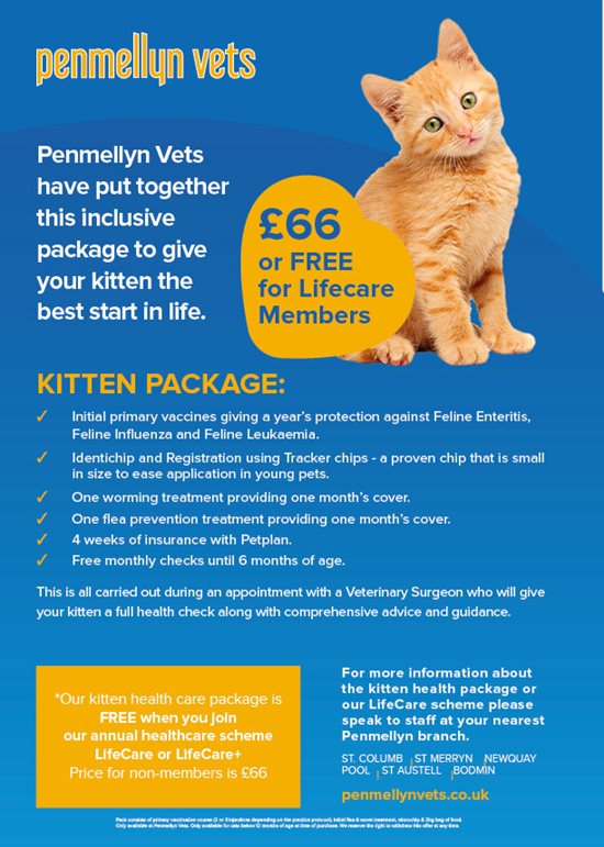 Vet kitten packages sales near me